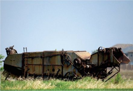 Past and Present Image